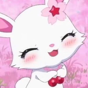 Meet your Posher, Kurt